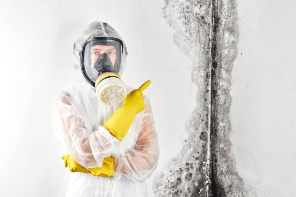 Best Commercial Mold Inspection in Mont Clare, PA