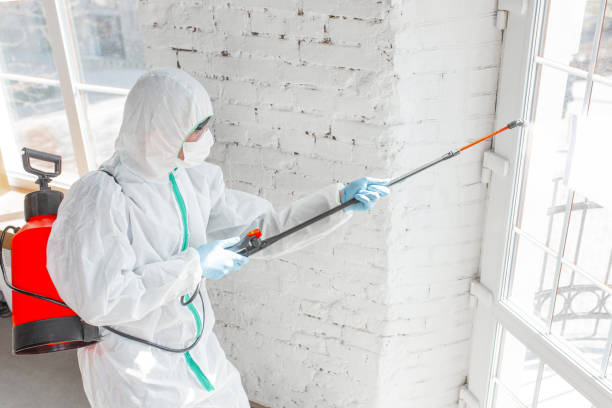 Mont Clare, PA Mold Removal Company